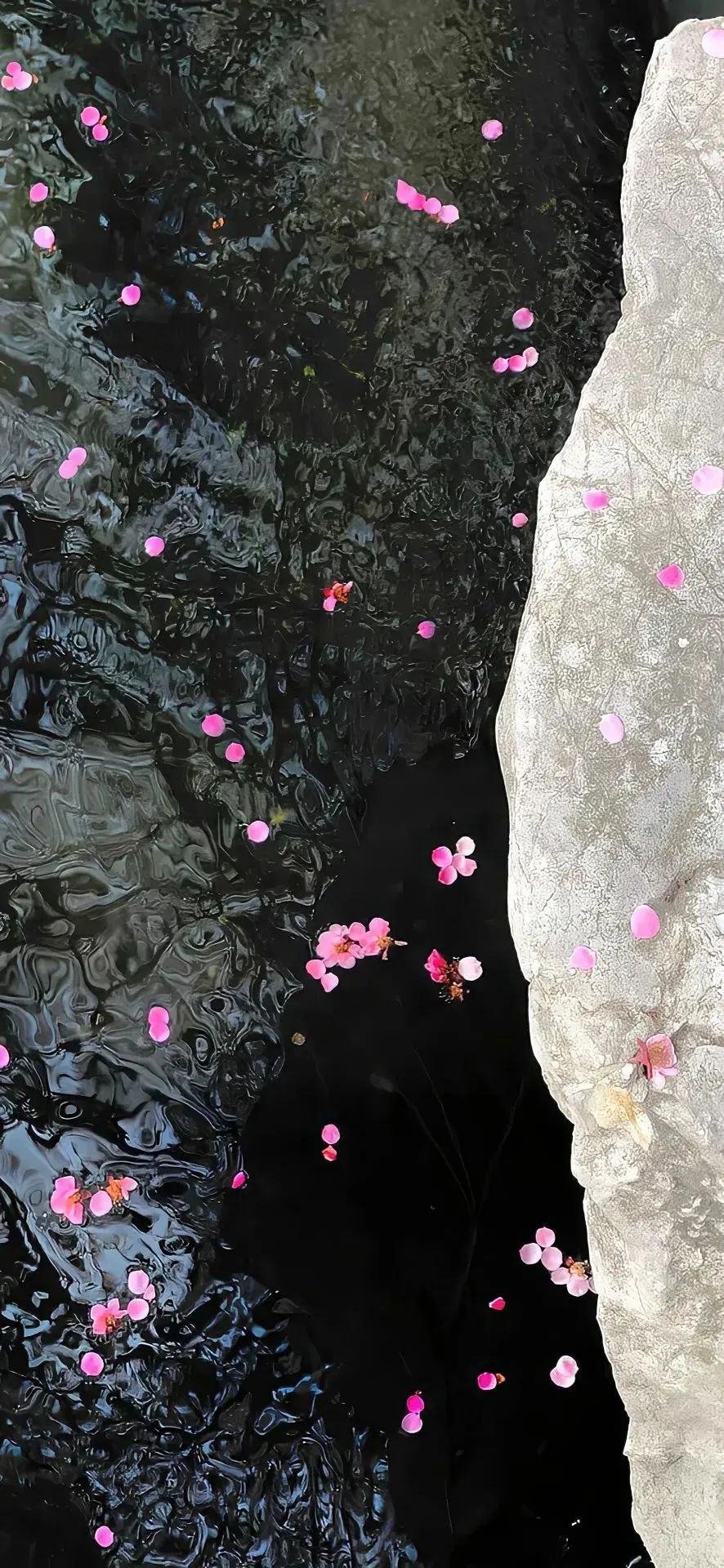 风景
