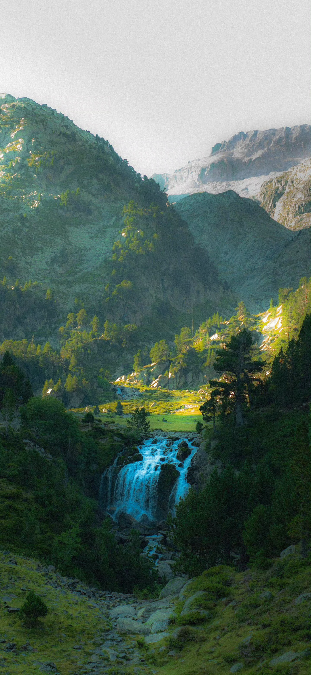 风景
