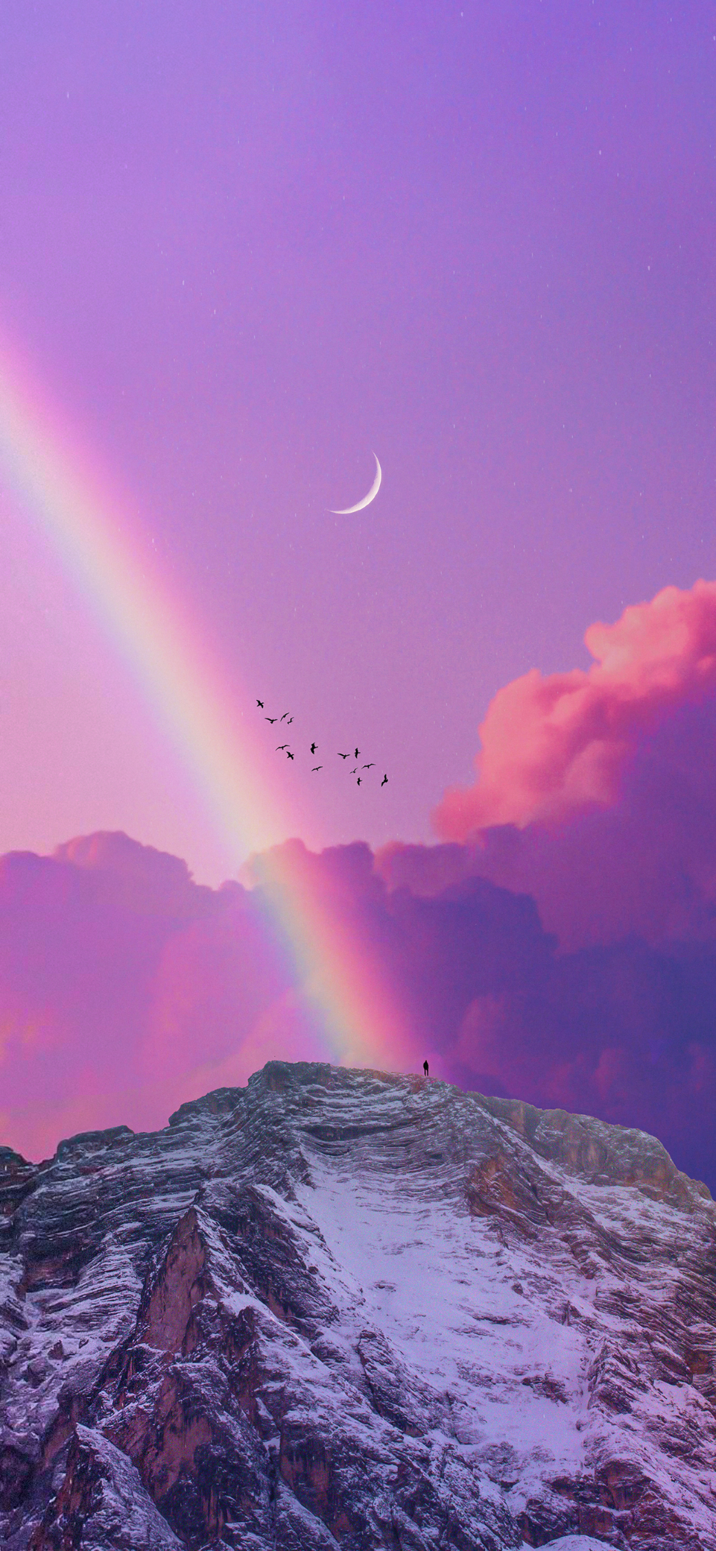 风景