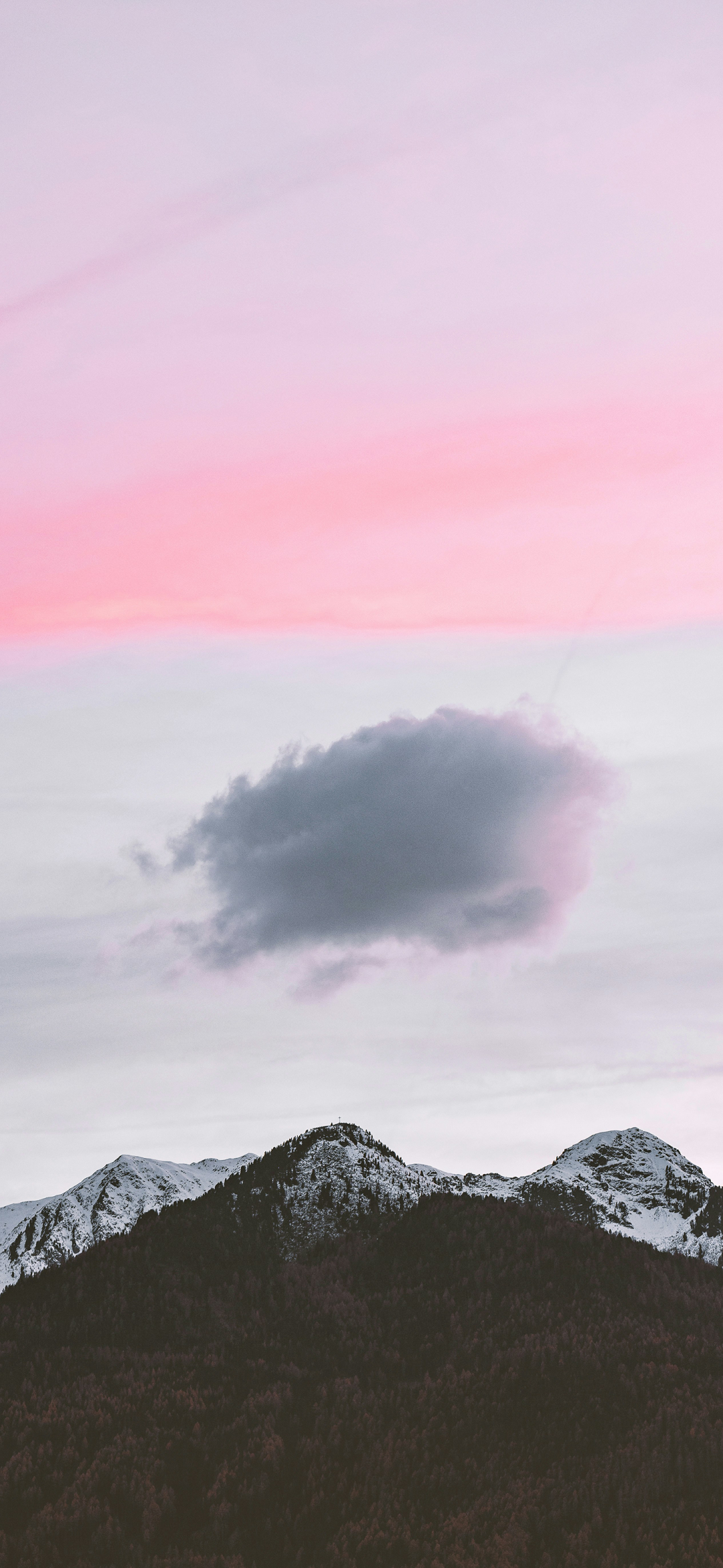 风景