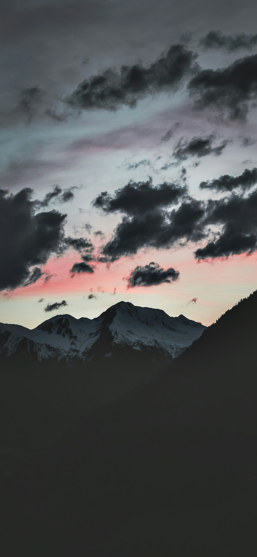风景