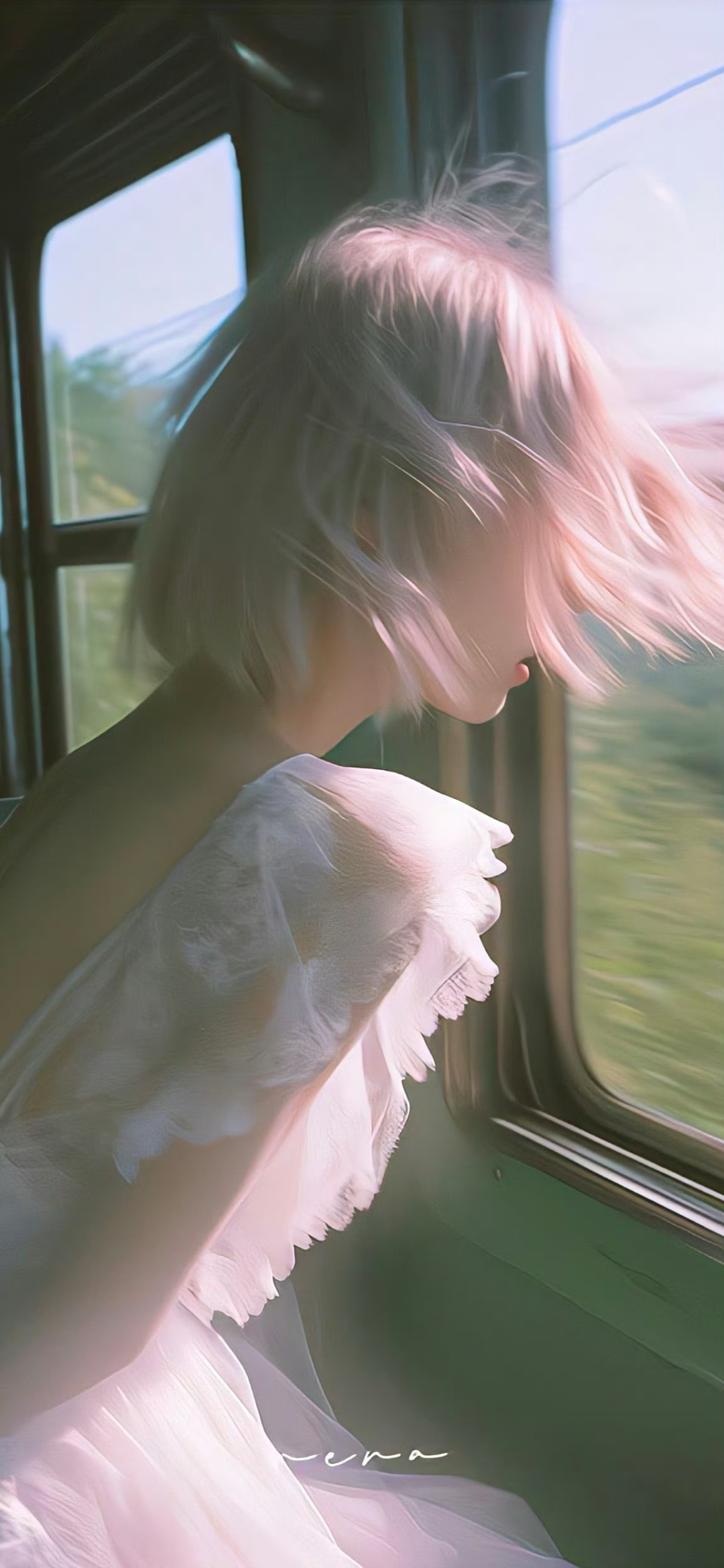 抖音热门