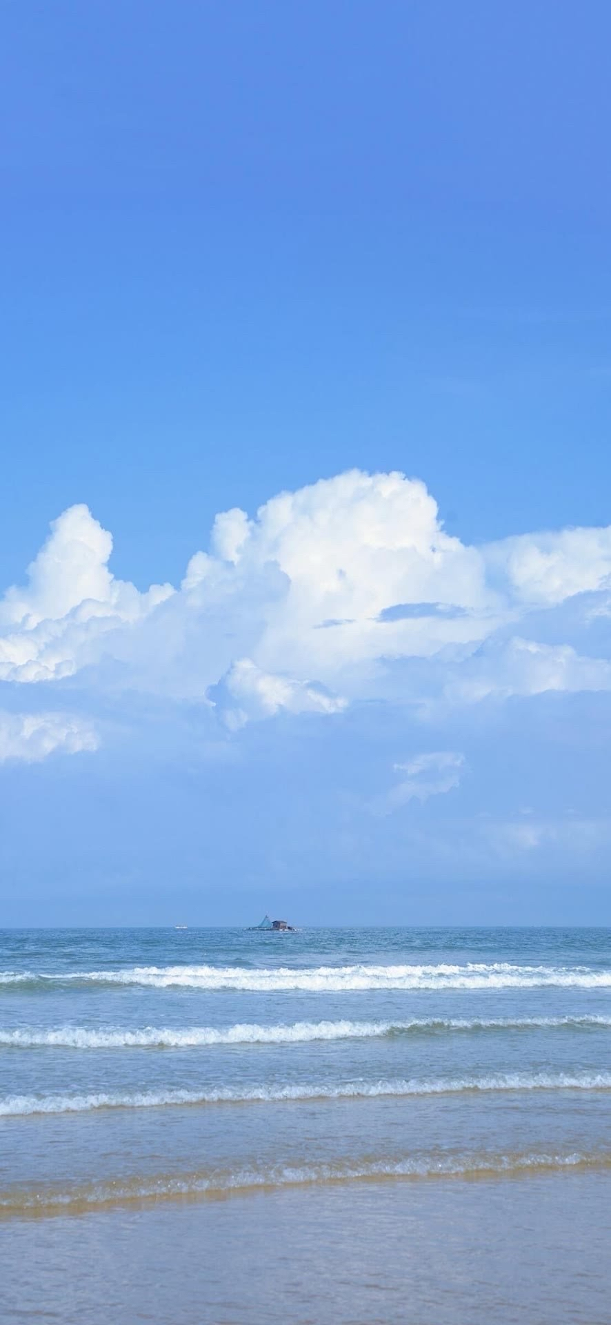 风景