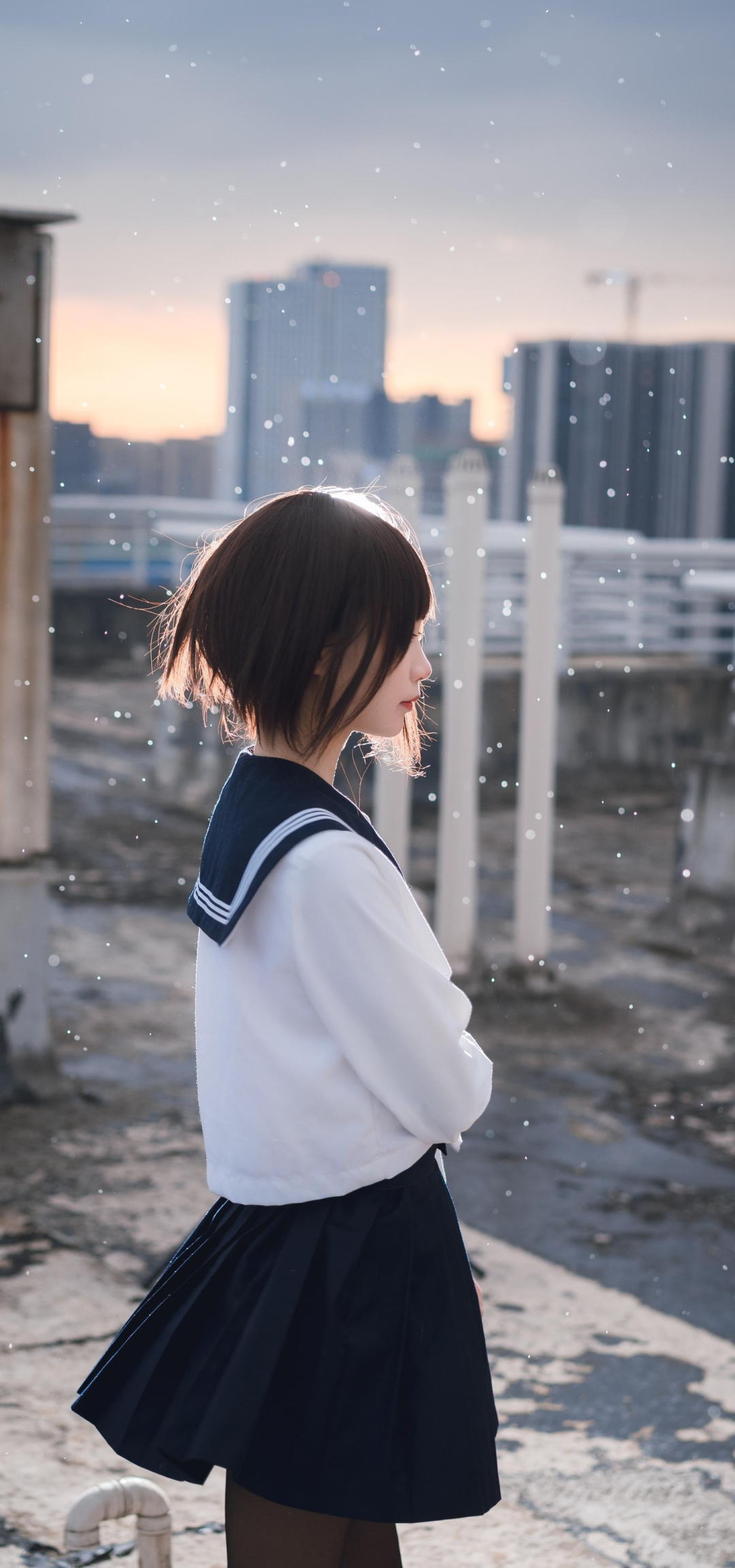 抖音热门
