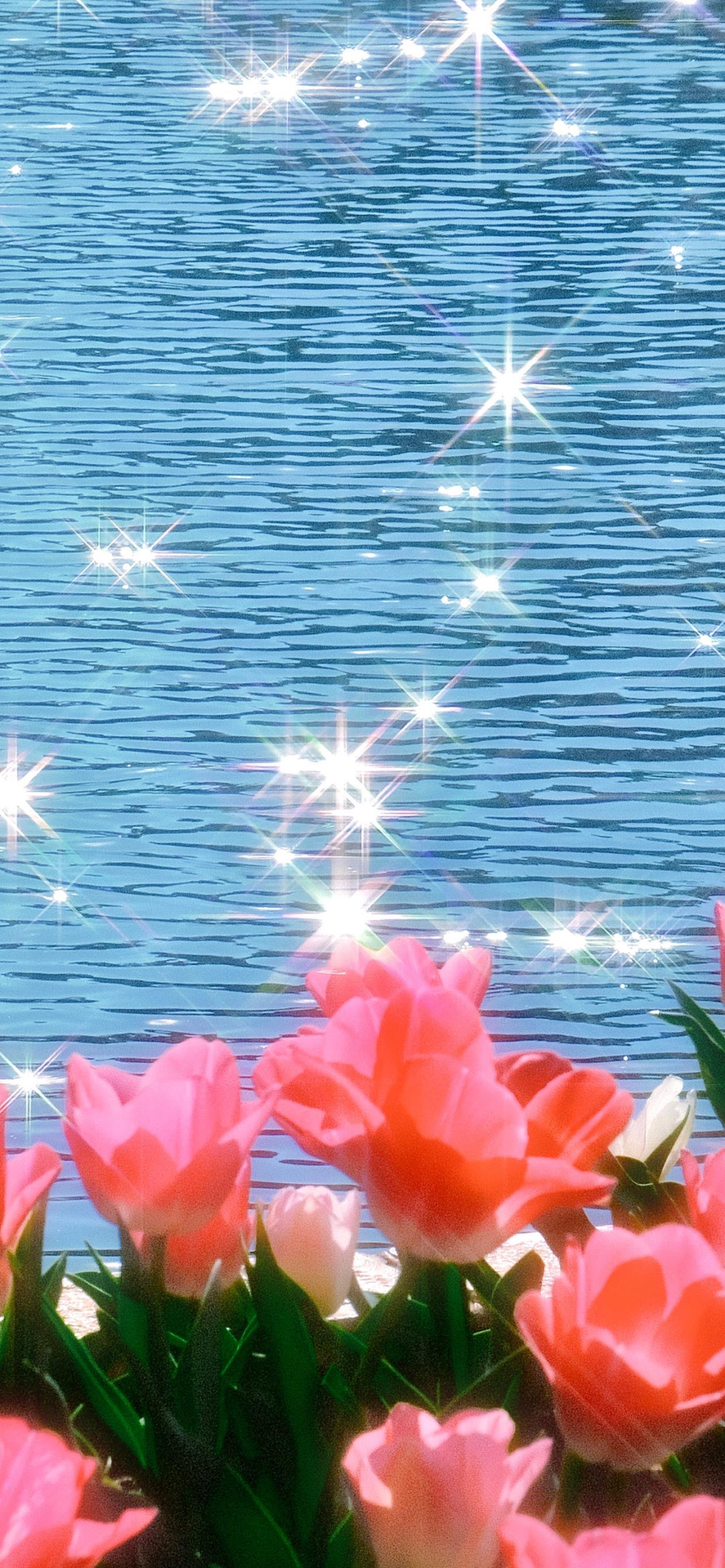 风景