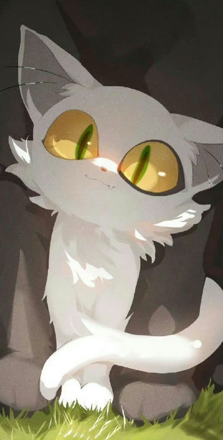 动漫