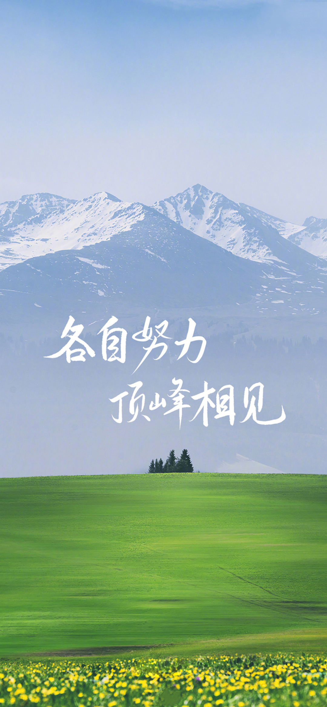 风景