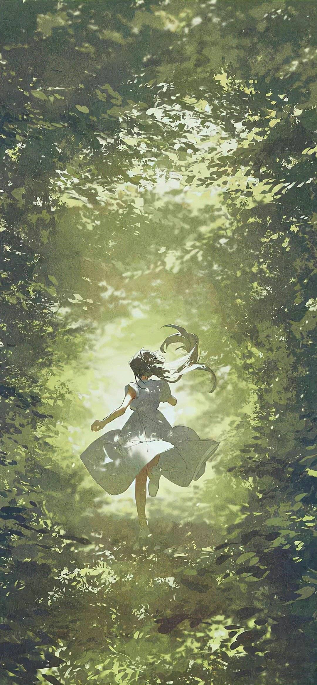 动漫