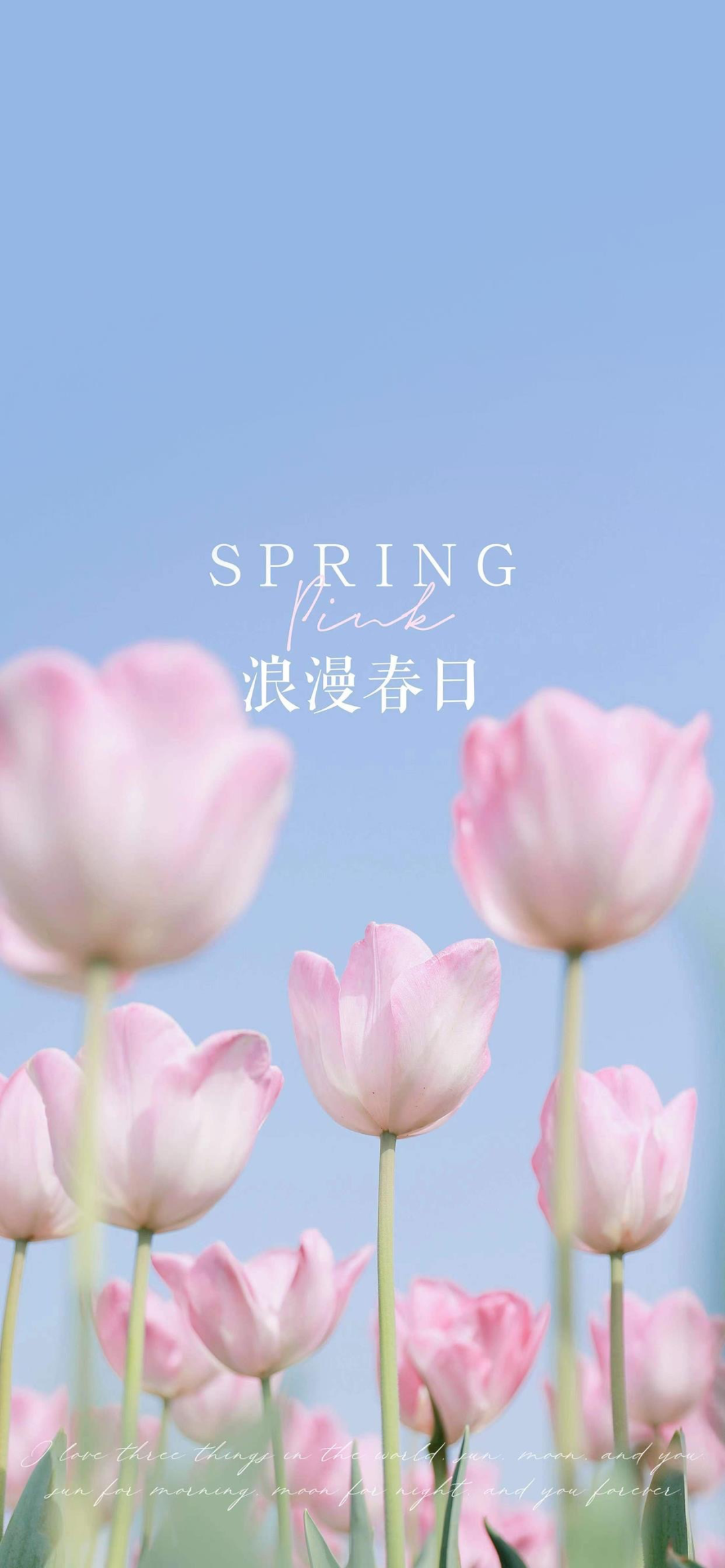 风景