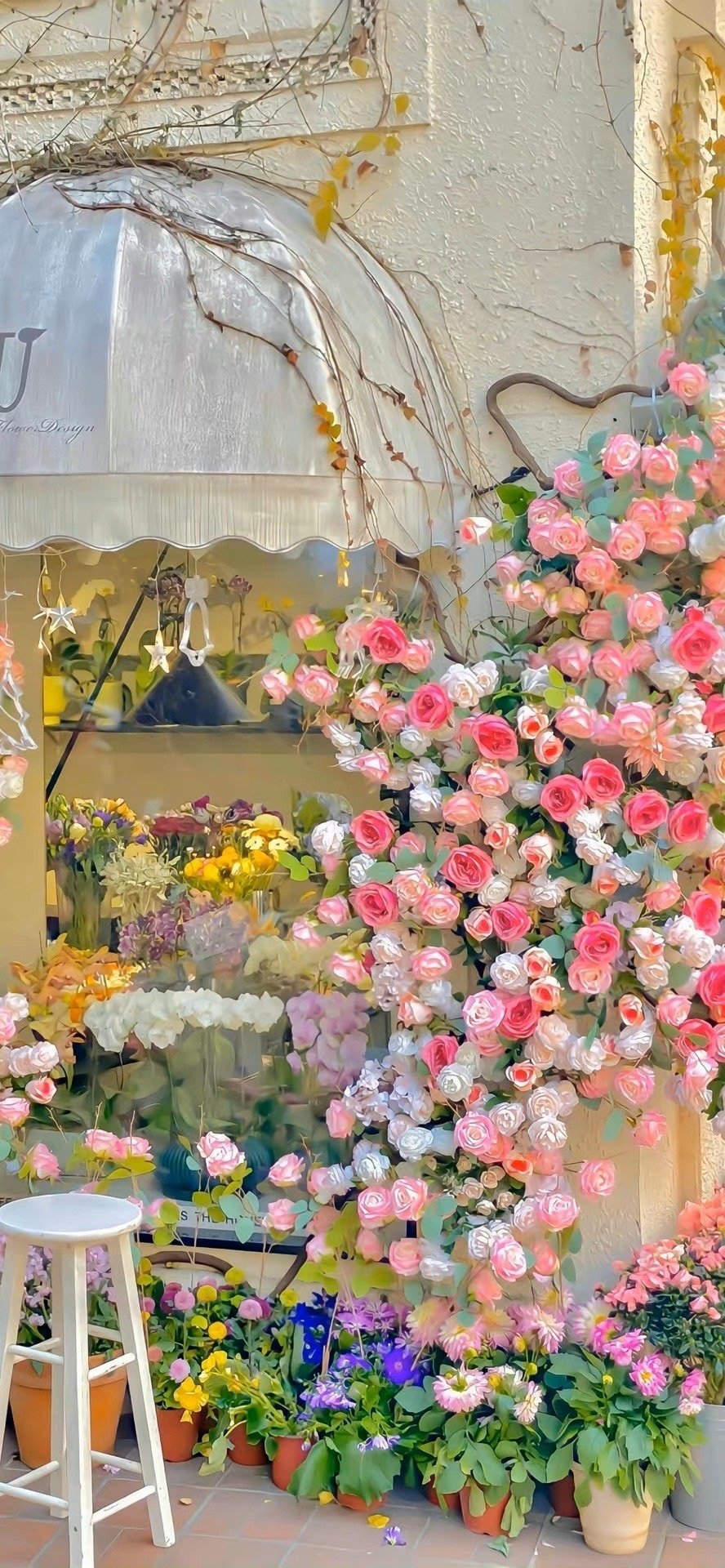 风景