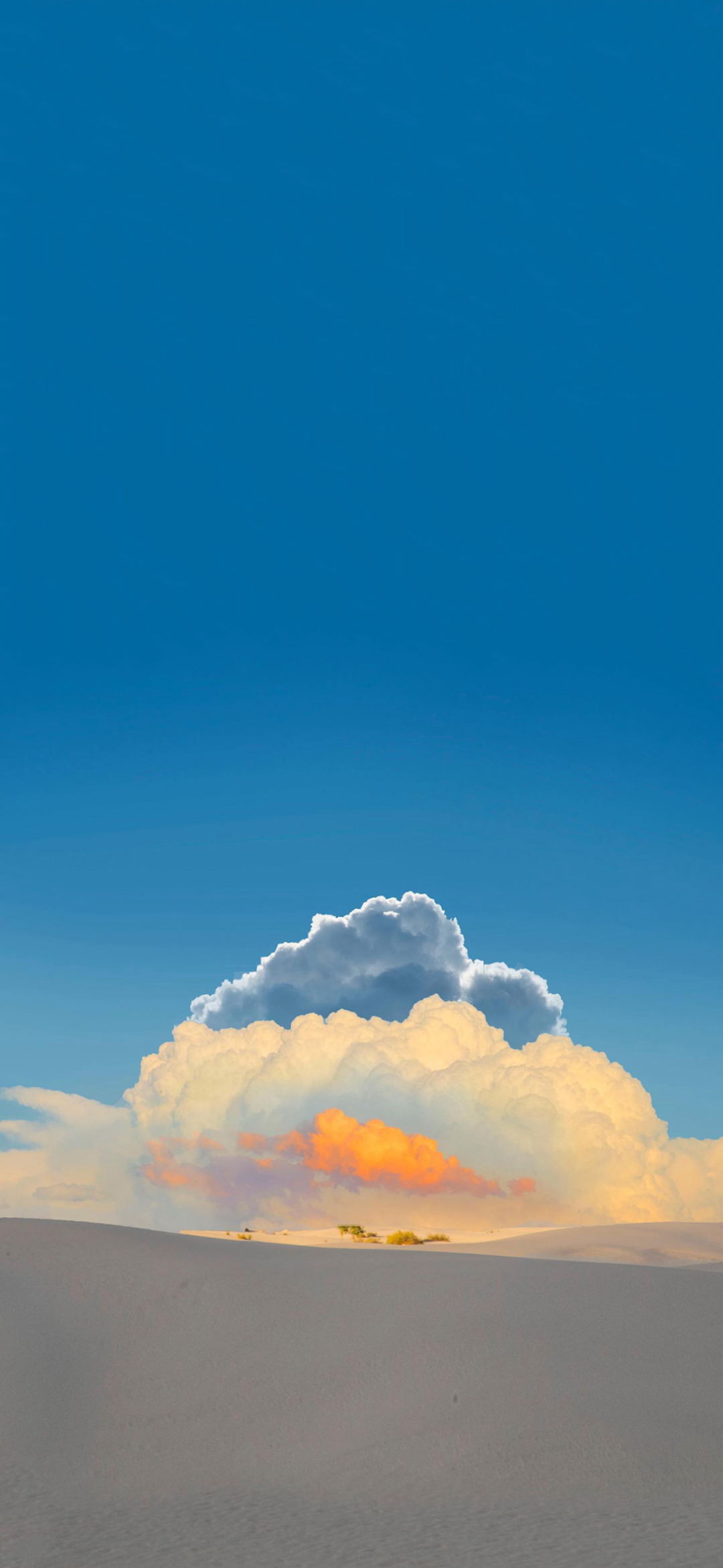 风景