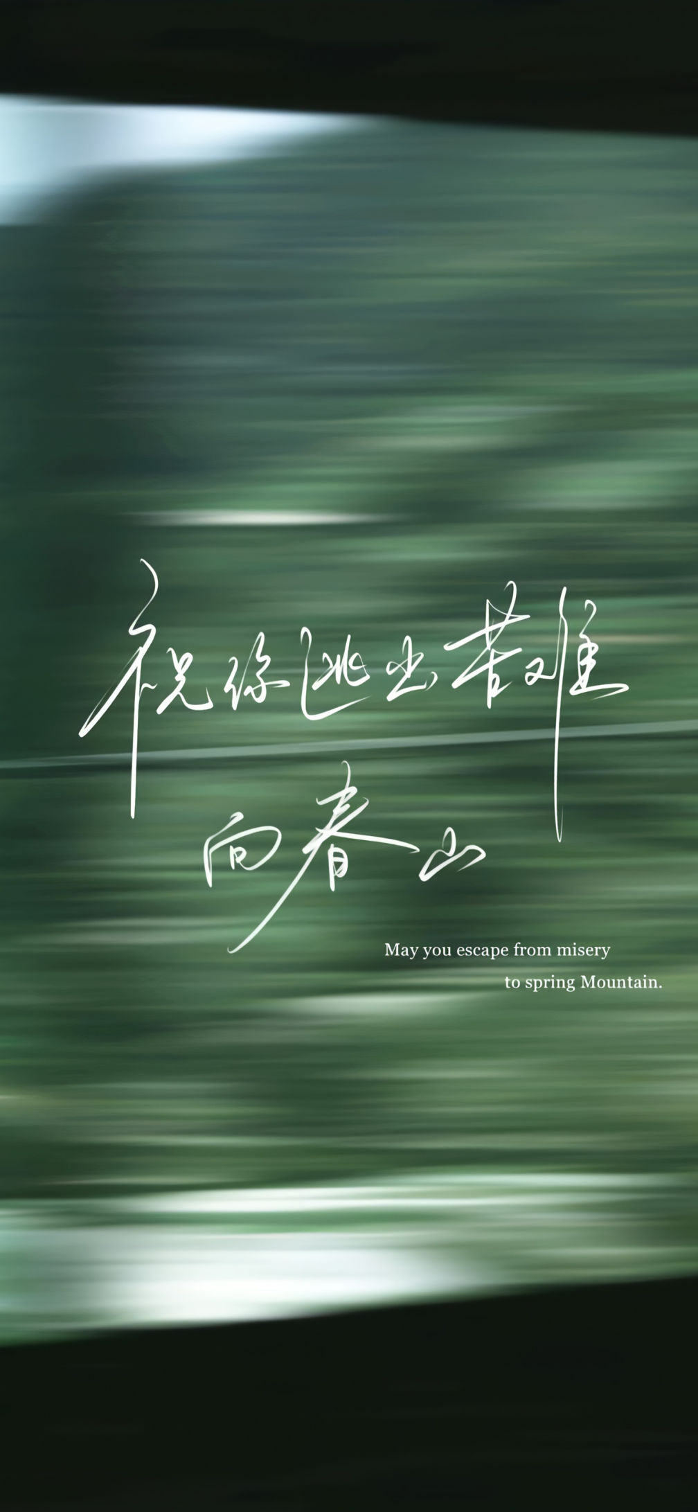 风景