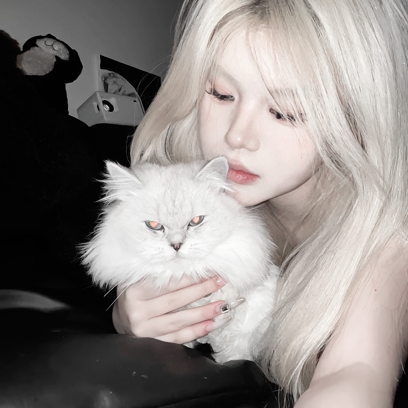 抱着猫咪温柔女生头像