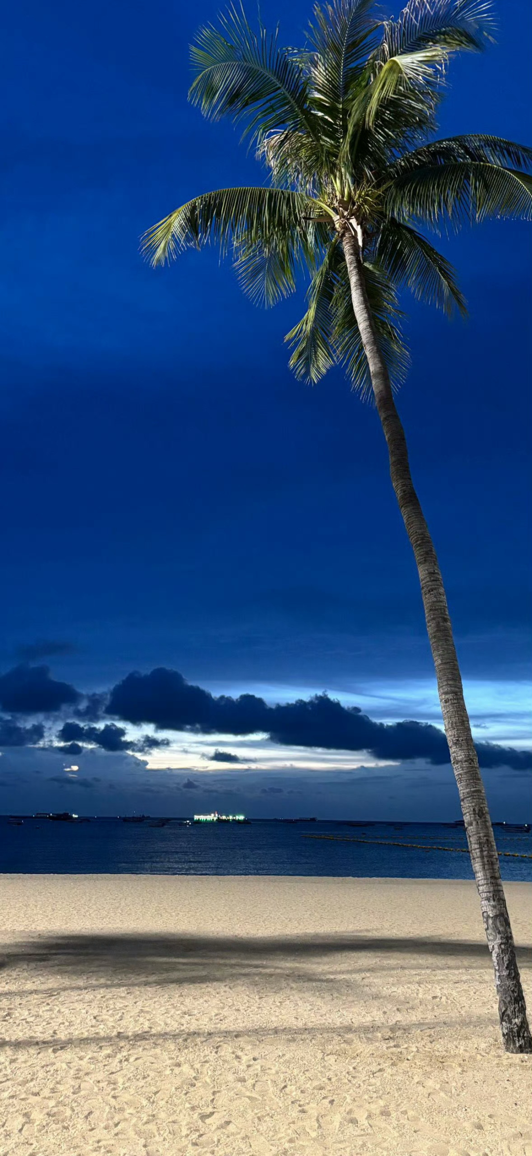 风景