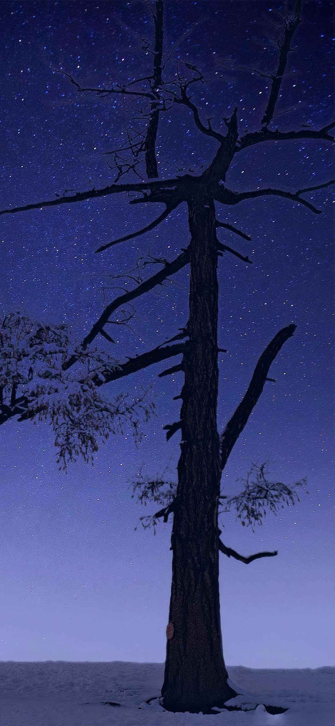 风景