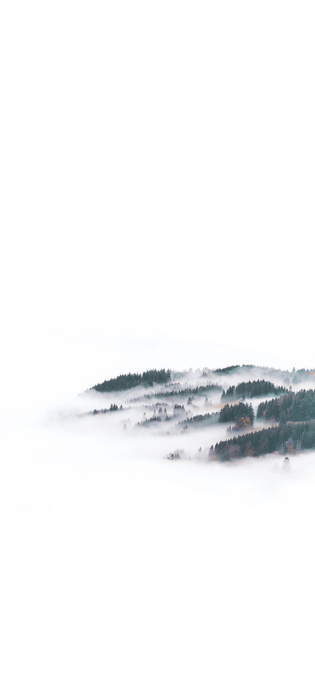 风景