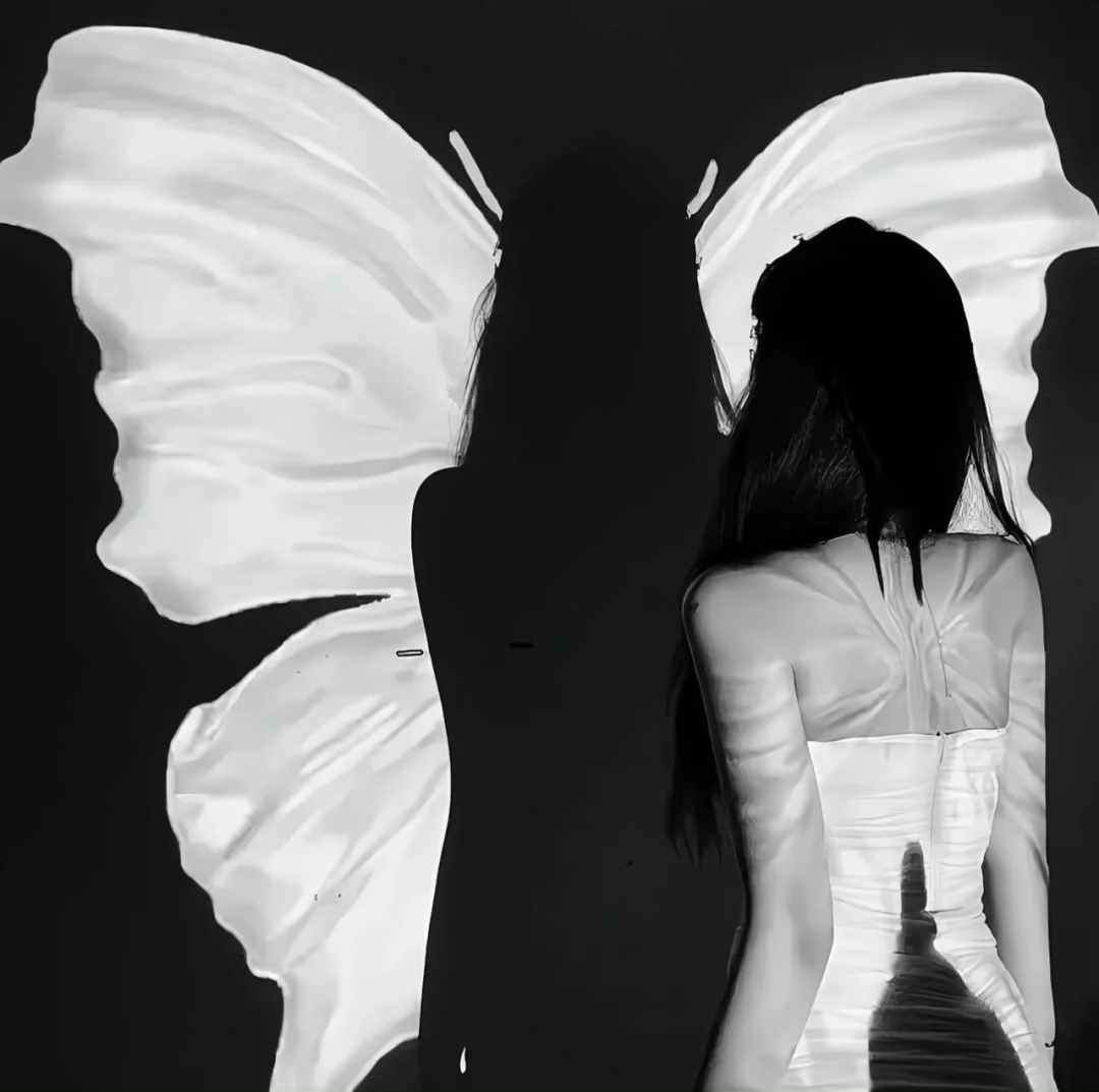 氛围感蝴蝶黑白背影女生头像