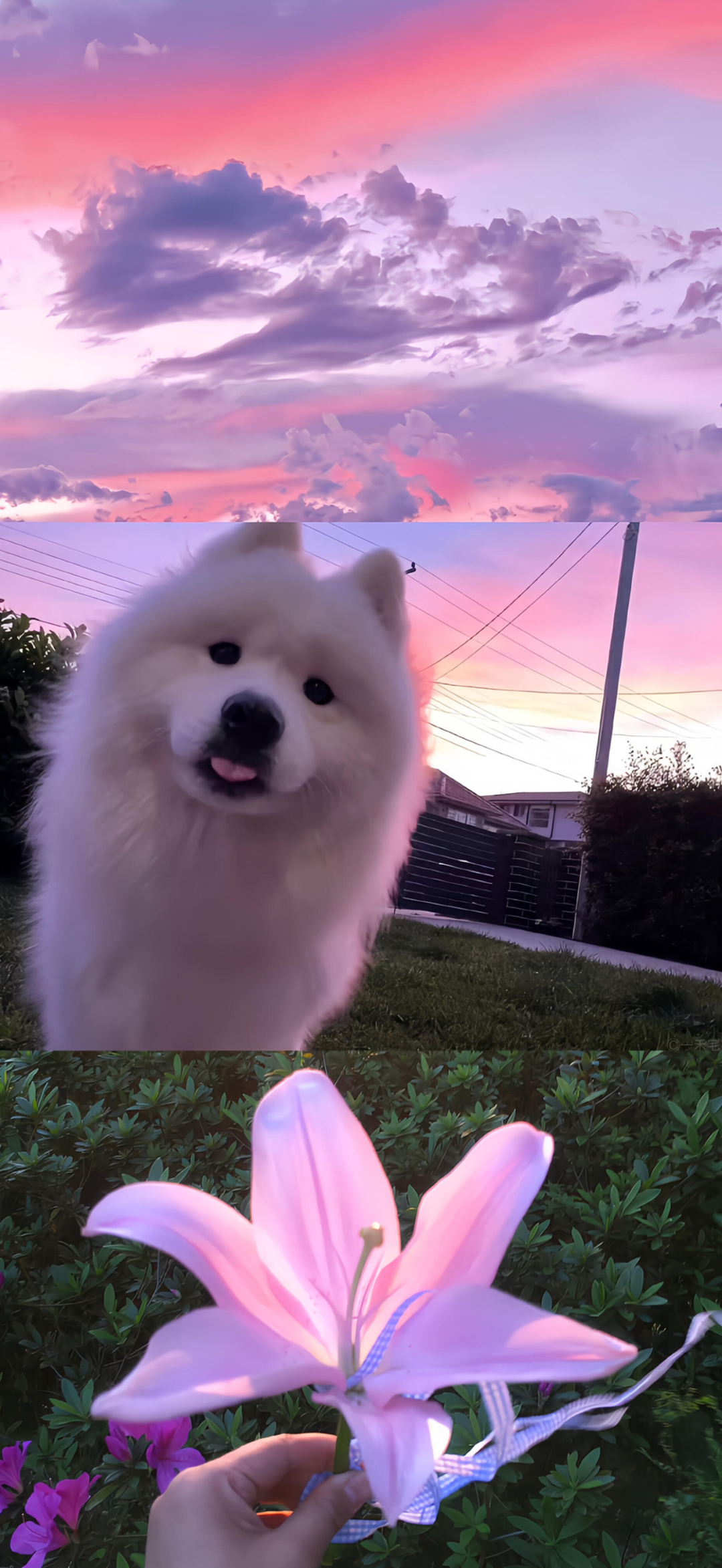 风景