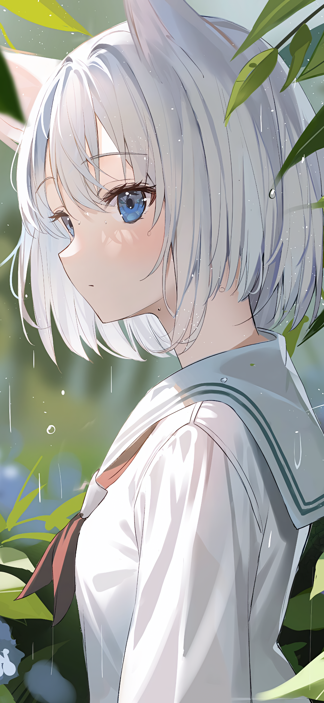 动漫