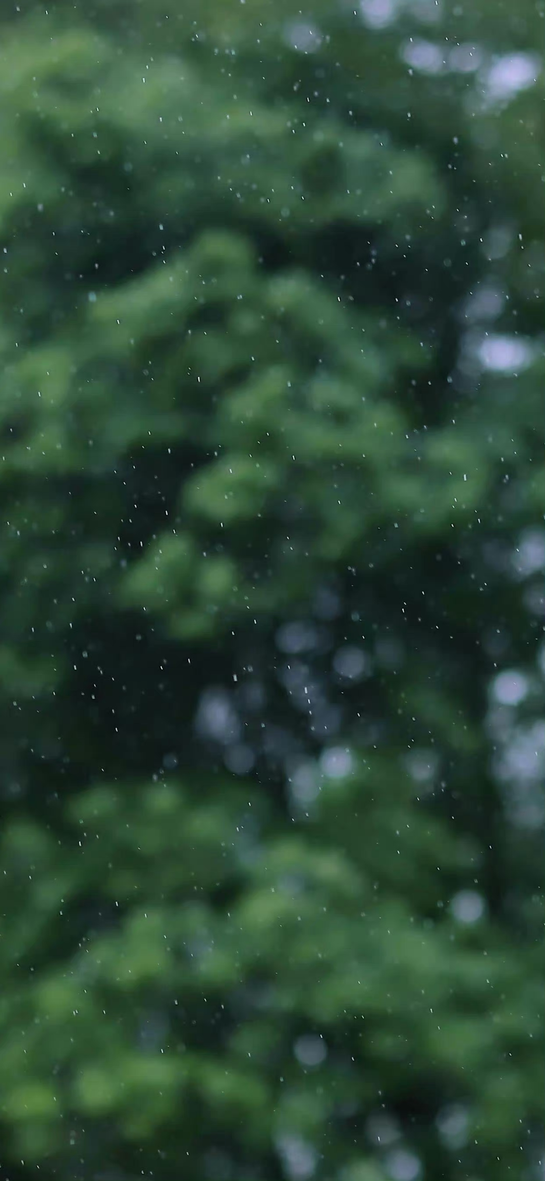 风景