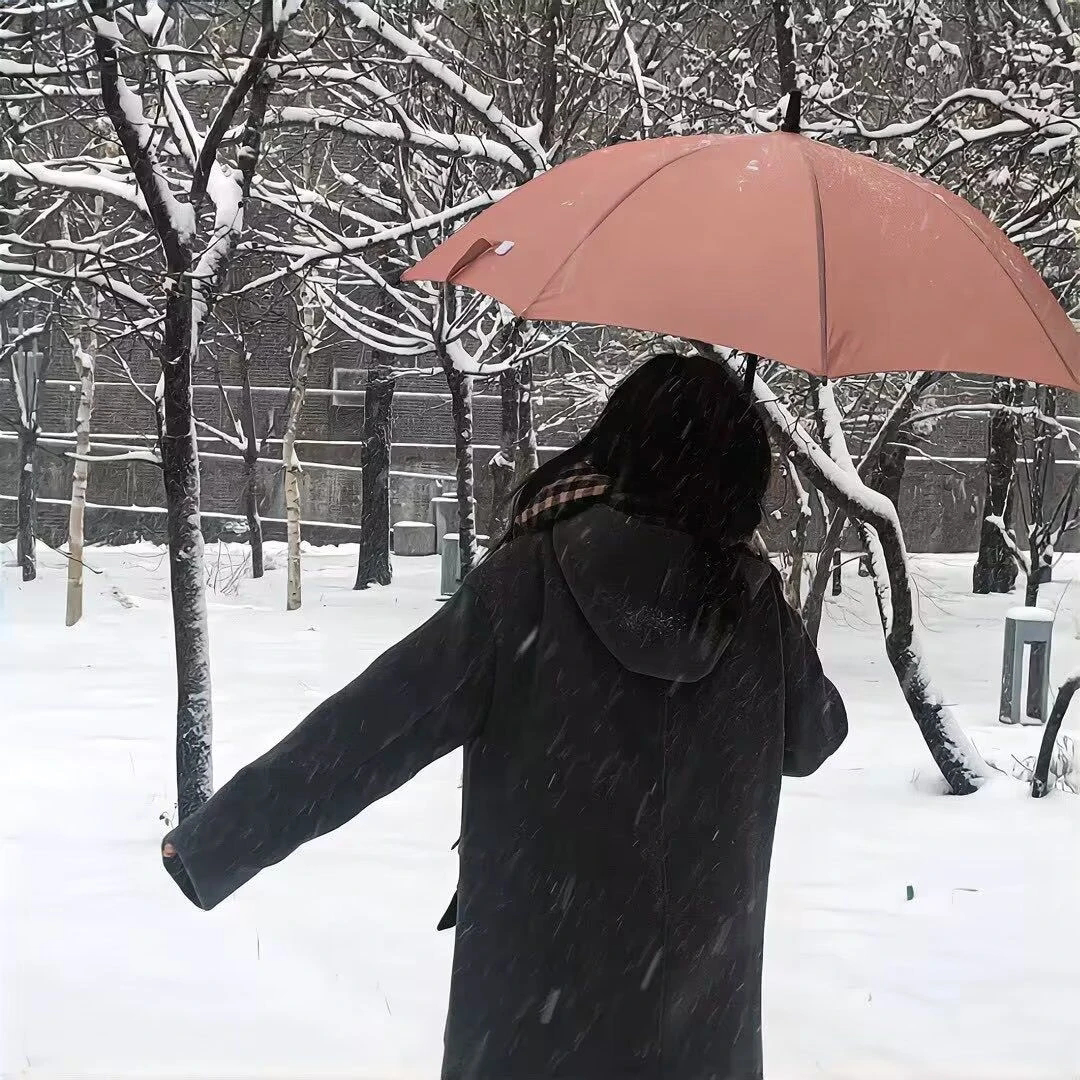 撑伞冬天不露脸女生头像