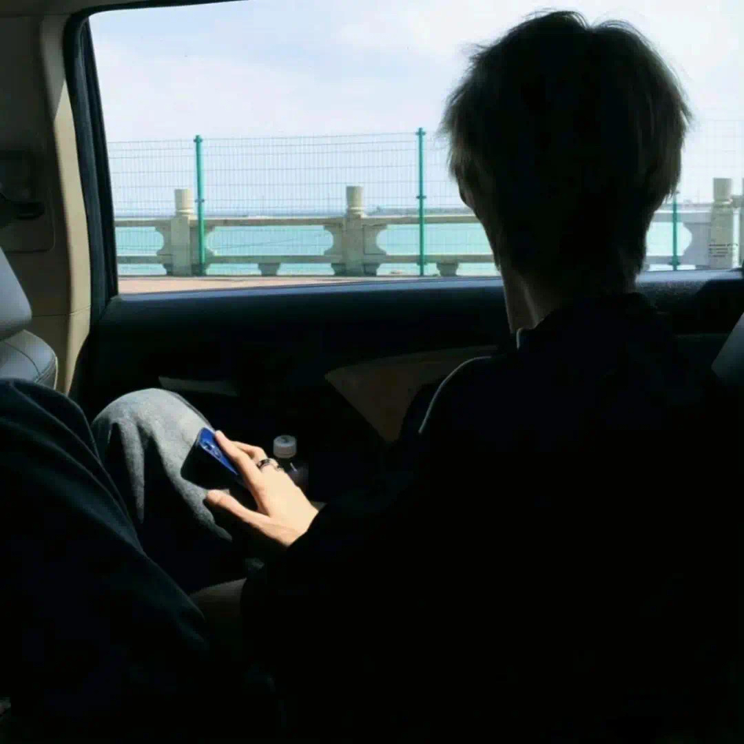 车内不露脸小众男生头像