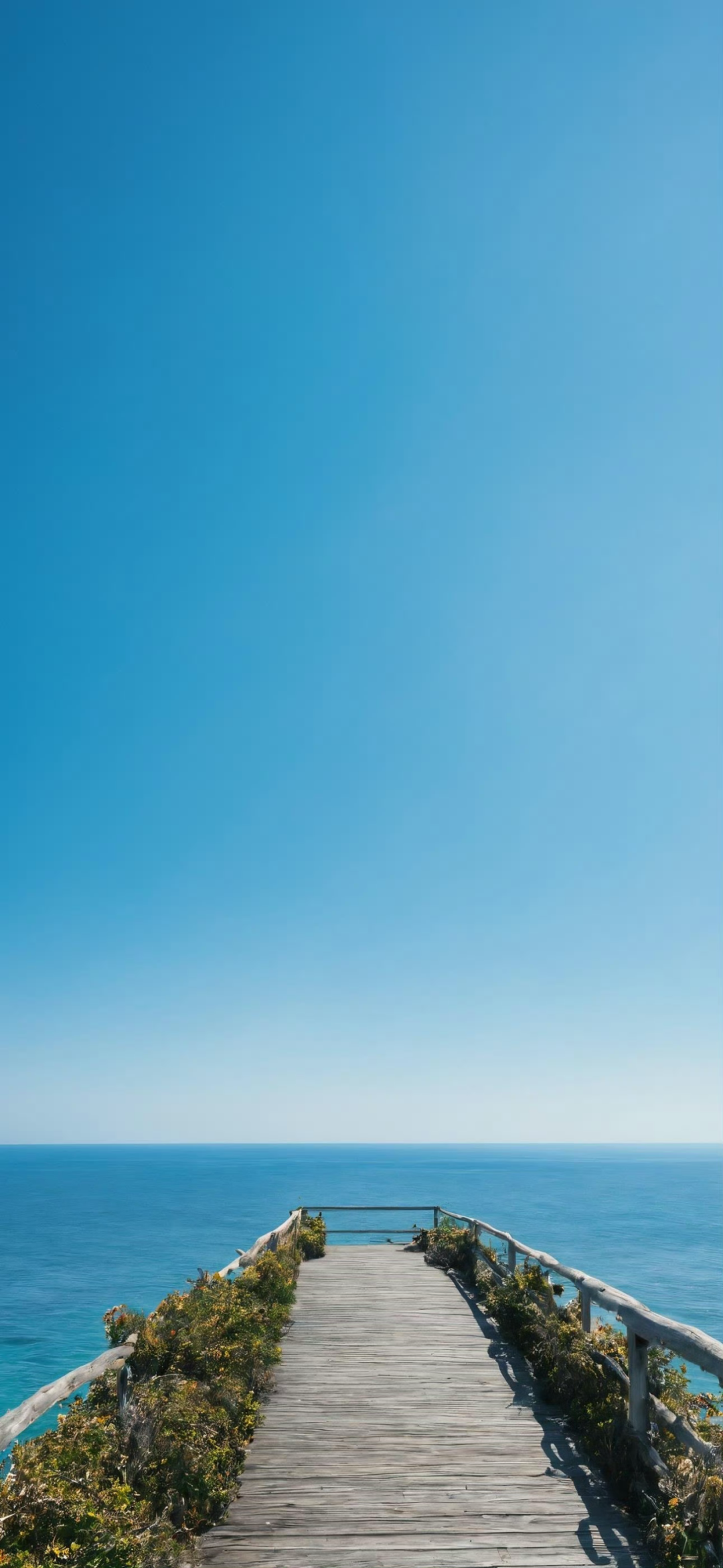 风景