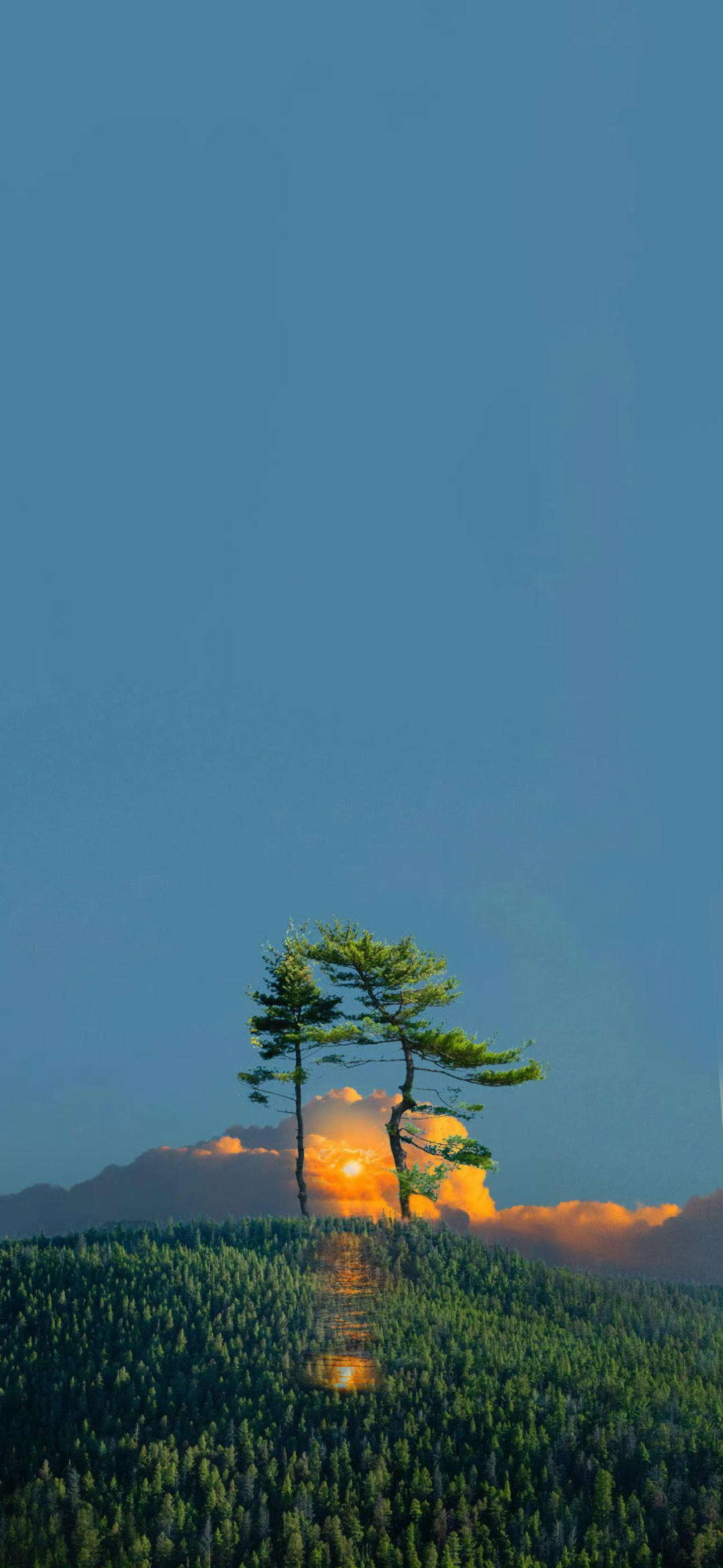 风景