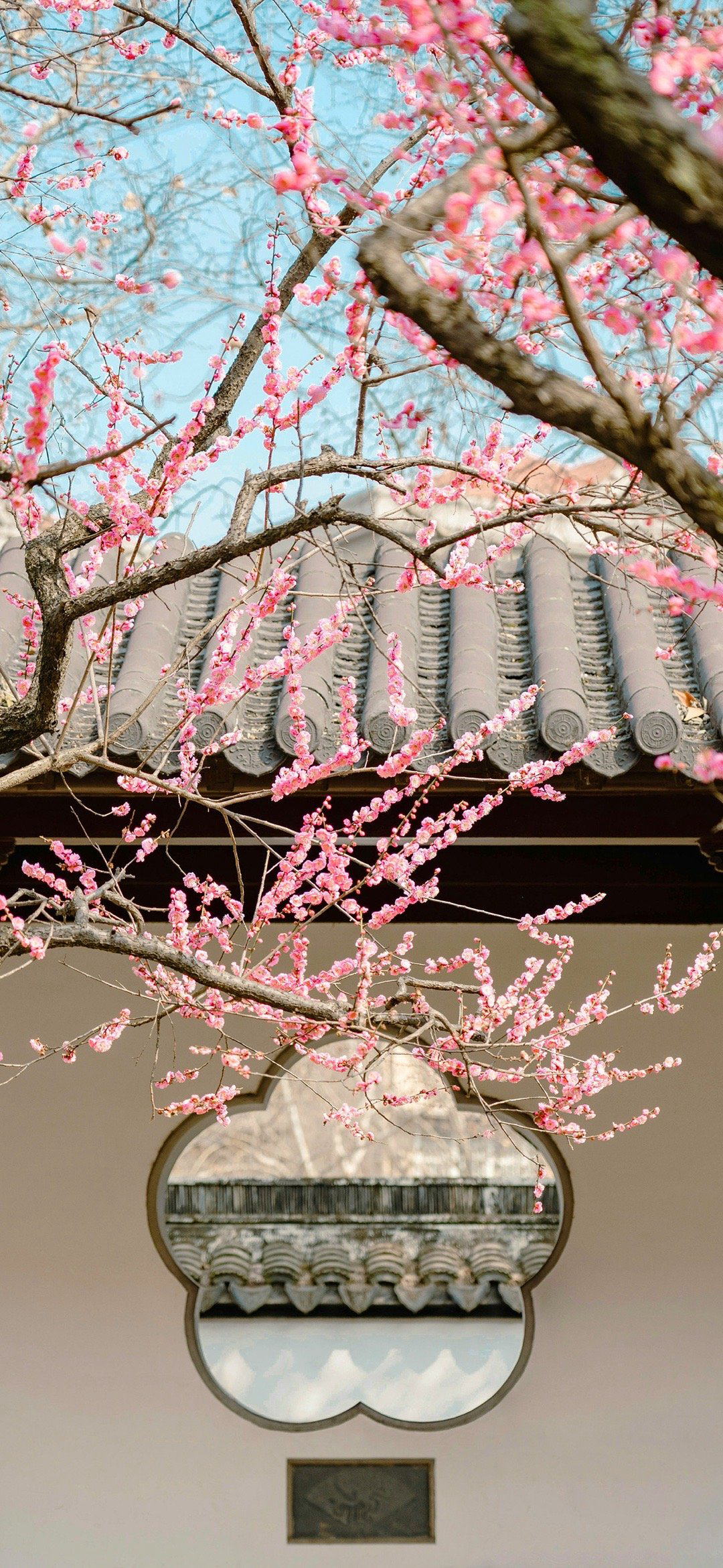 风景