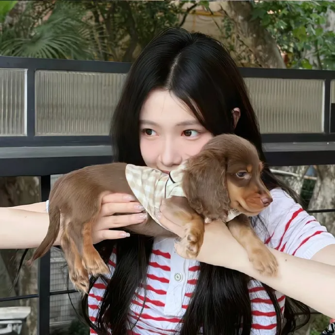 抱着狗狗甜妹女生头像