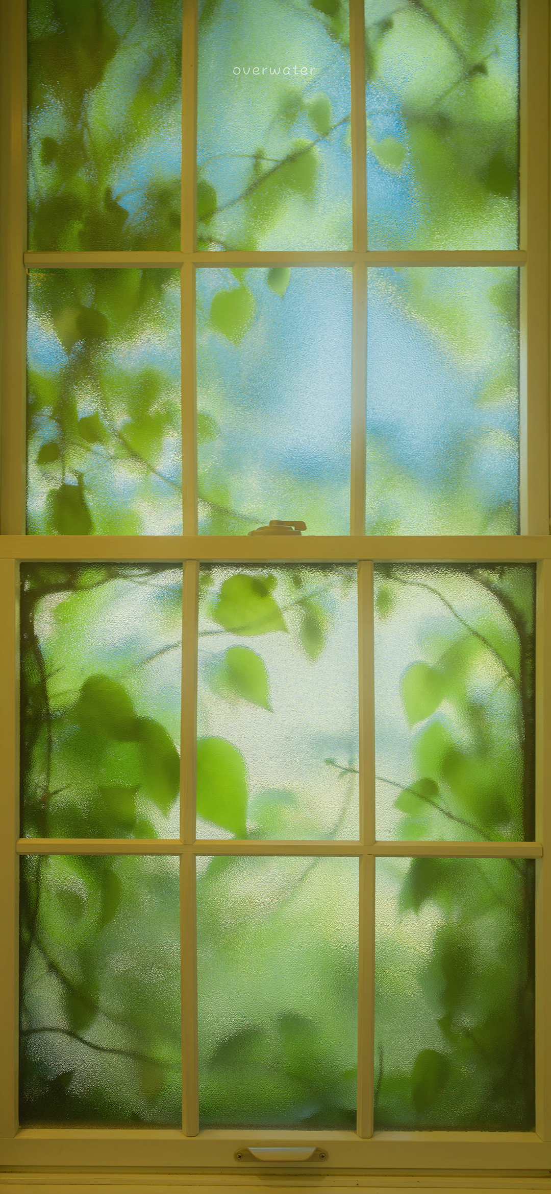 风景