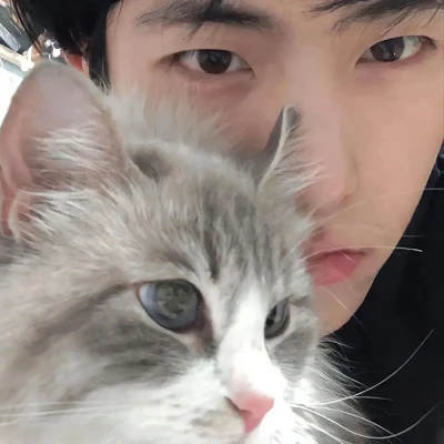 olkmnhybgtzhouyu抱着猫咪单人真人情侣头像