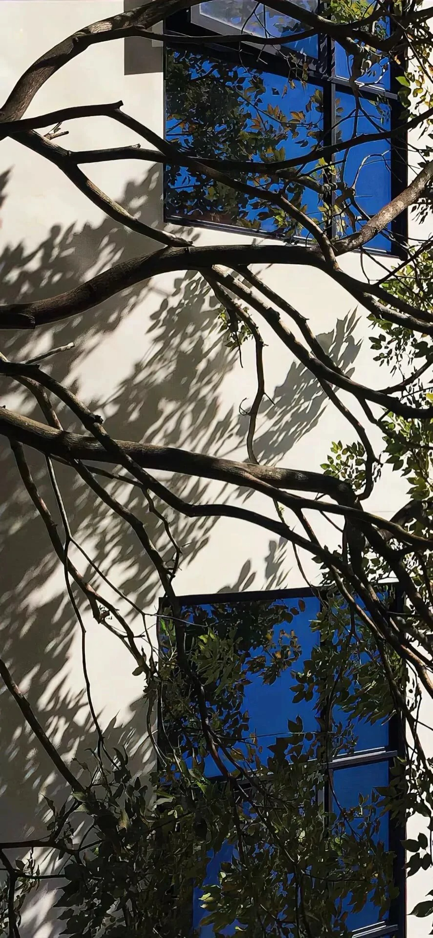 风景