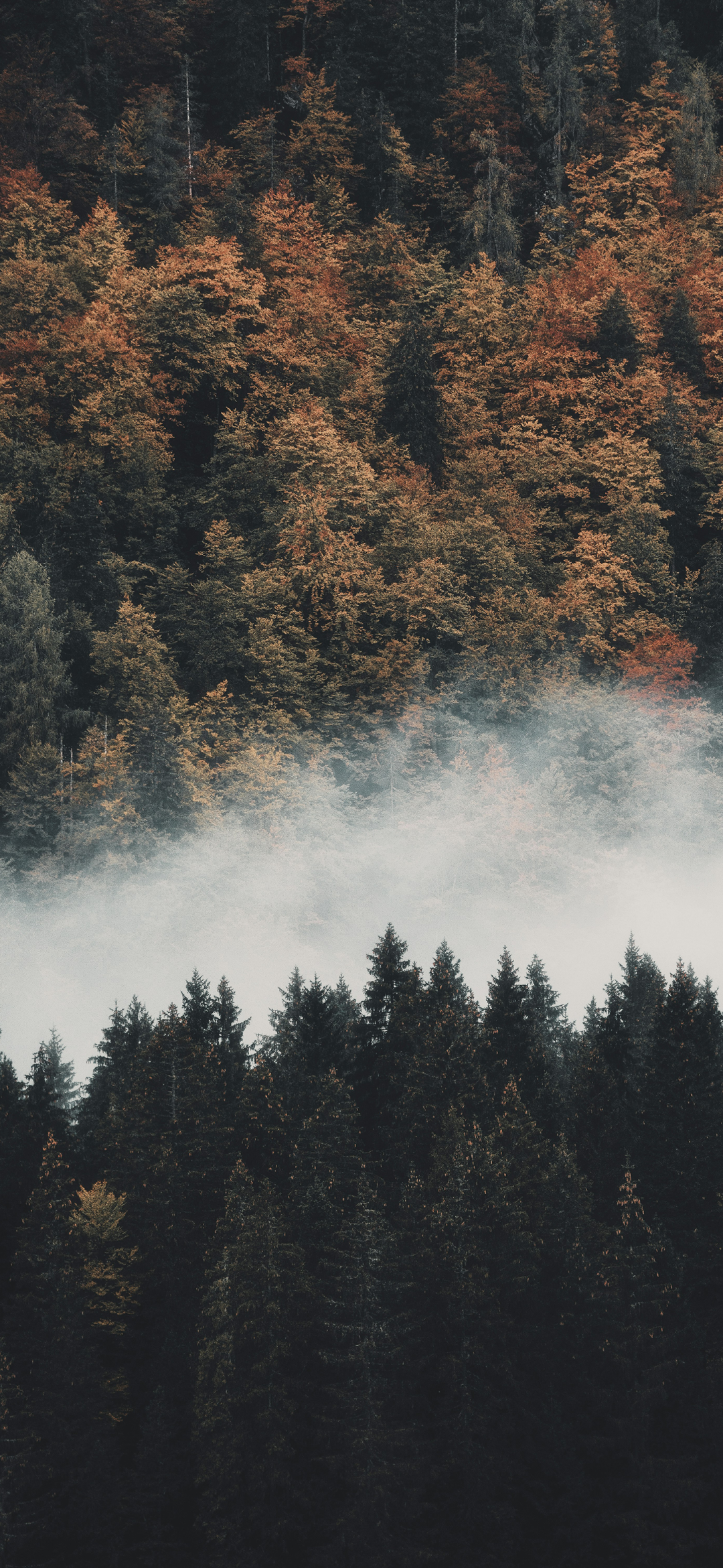 风景