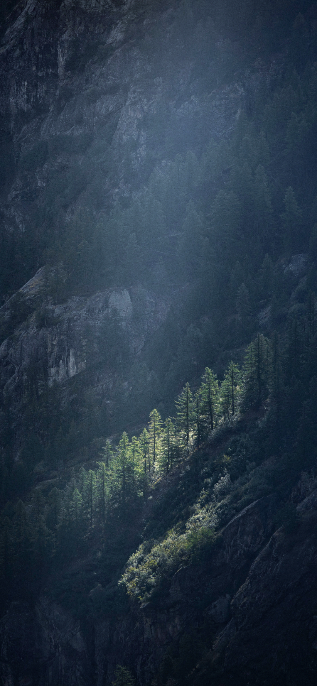 风景