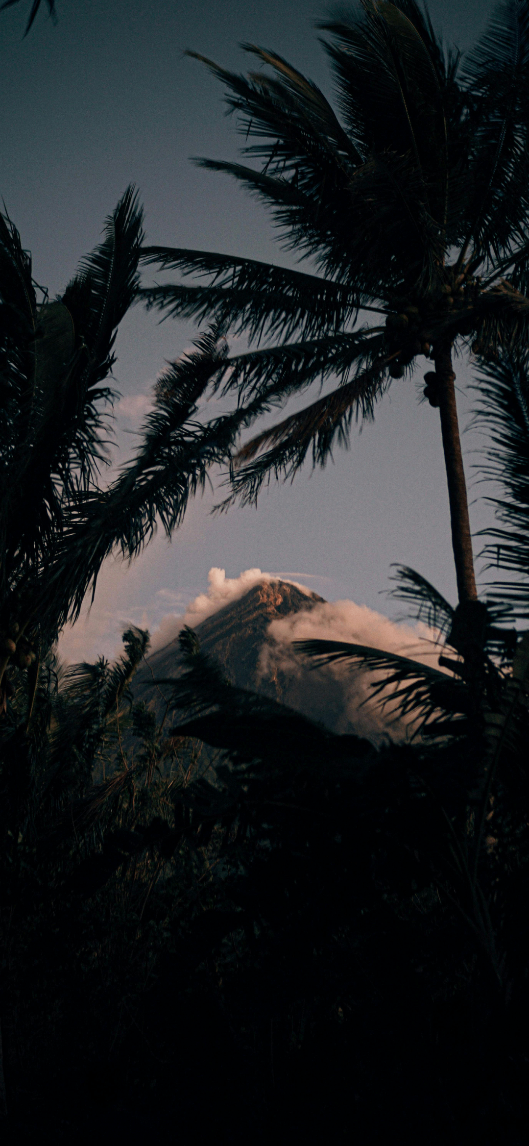 风景