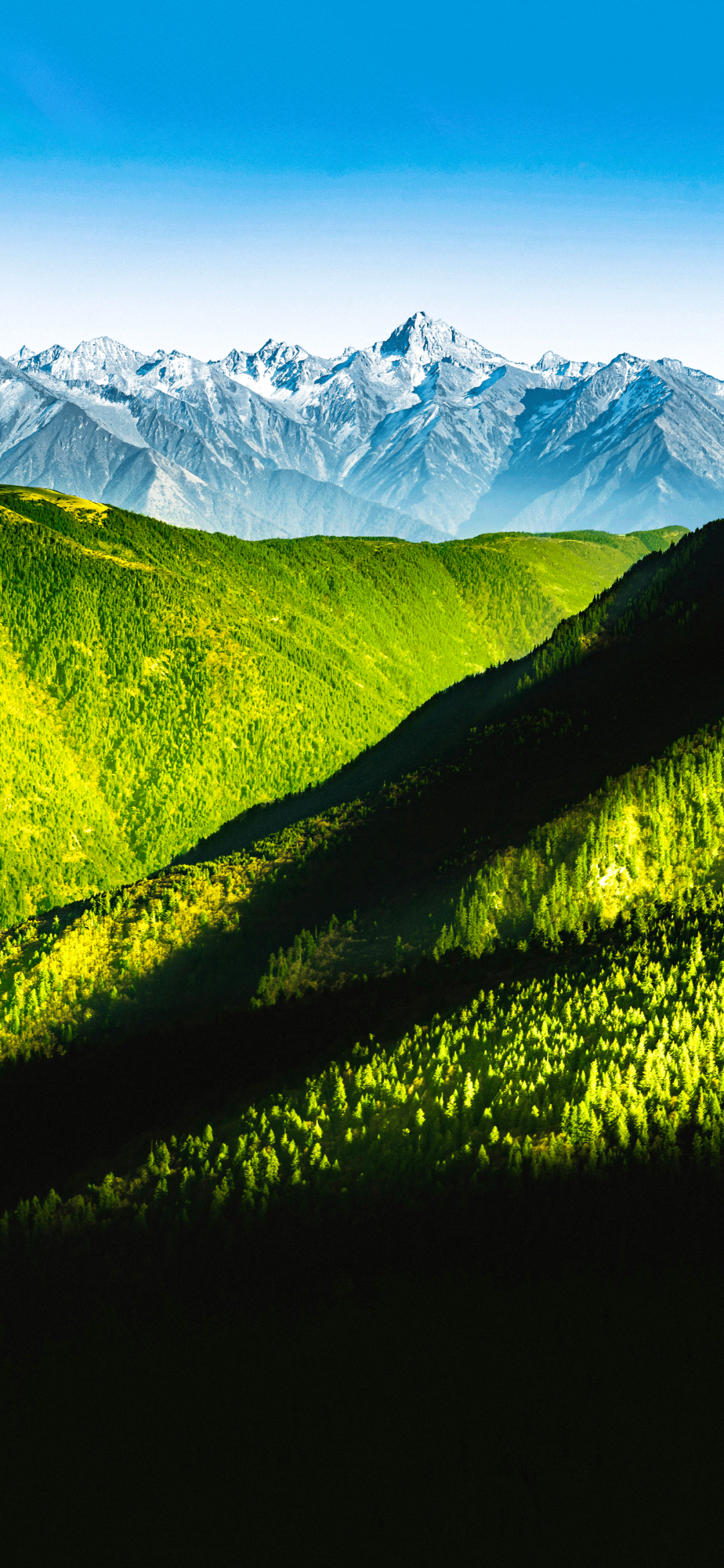 风景