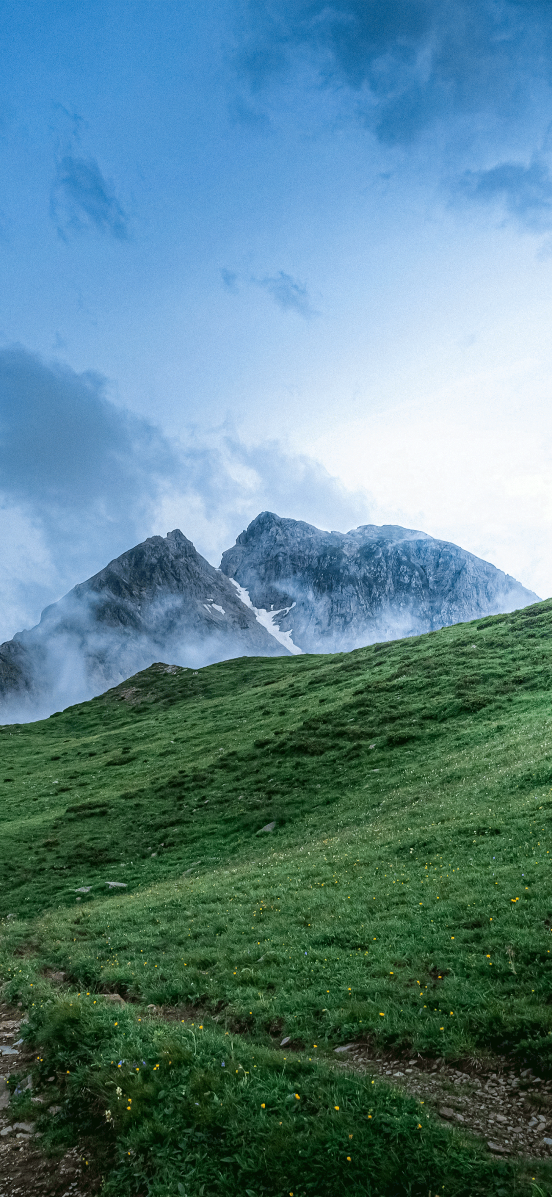 风景