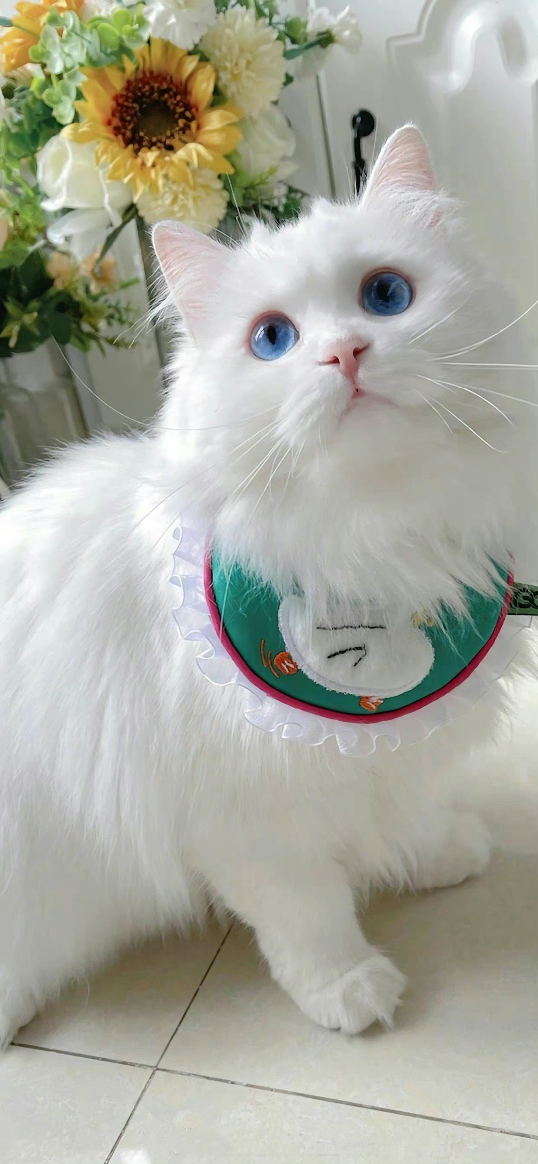 什锦