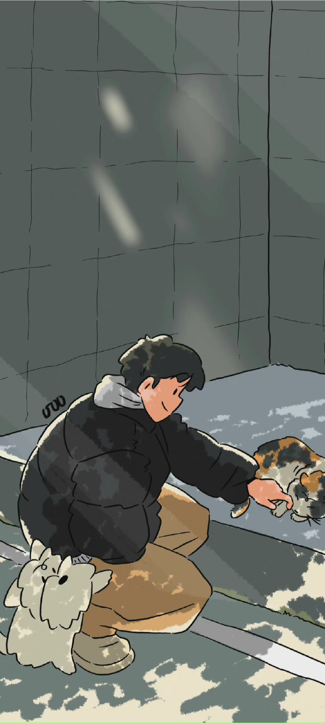 动漫