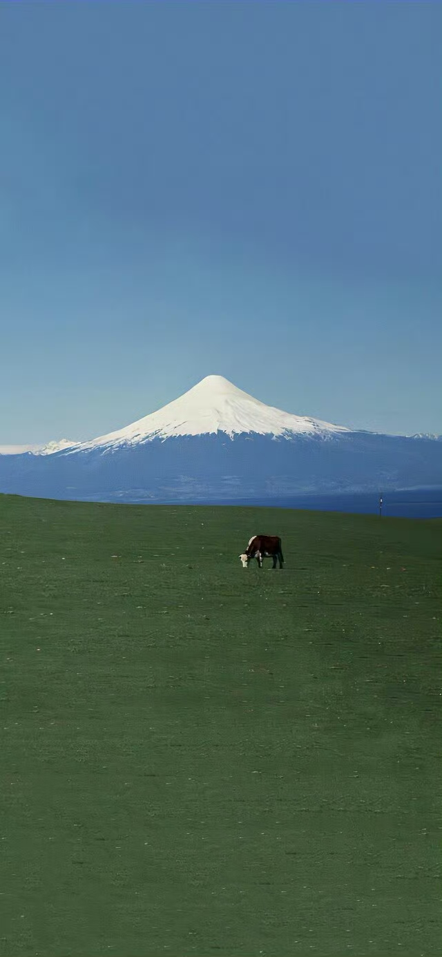 风景