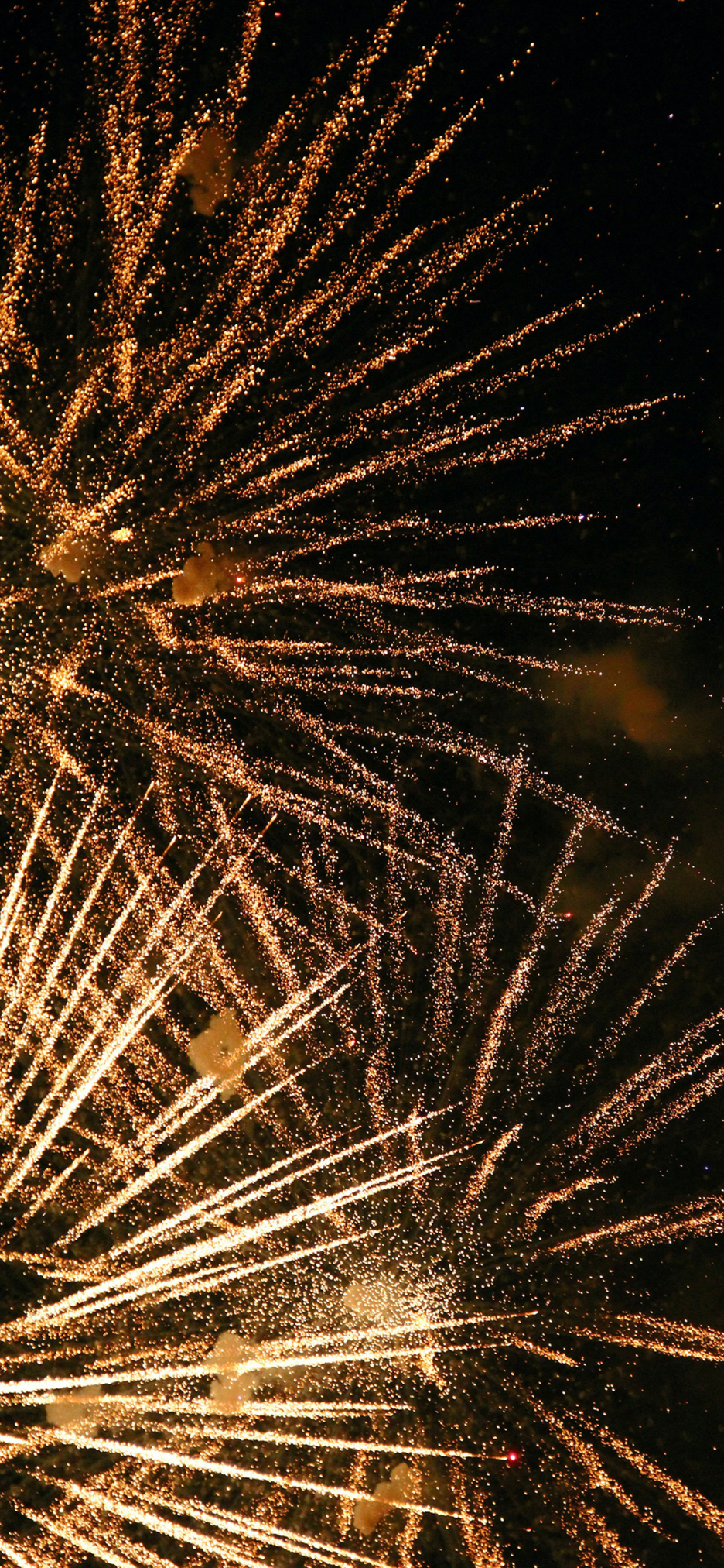 新年