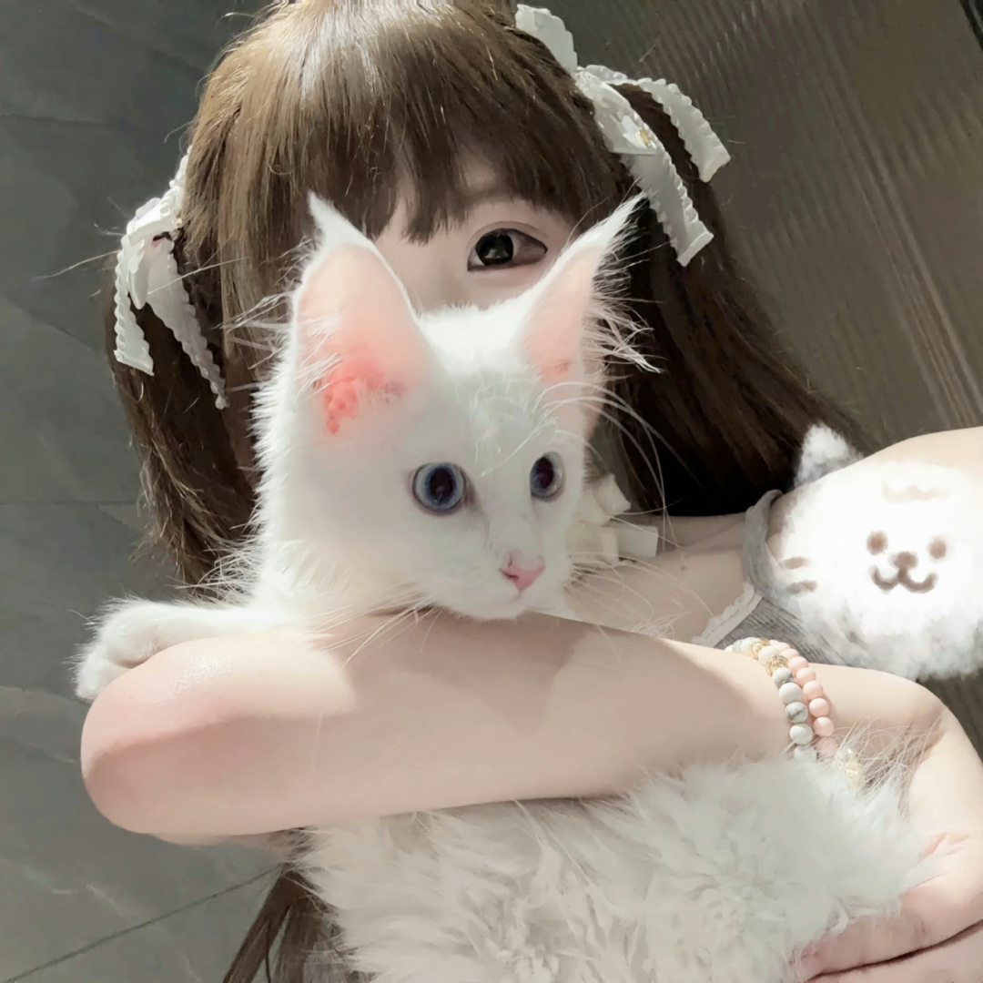抱着猫咪少萝女生头像