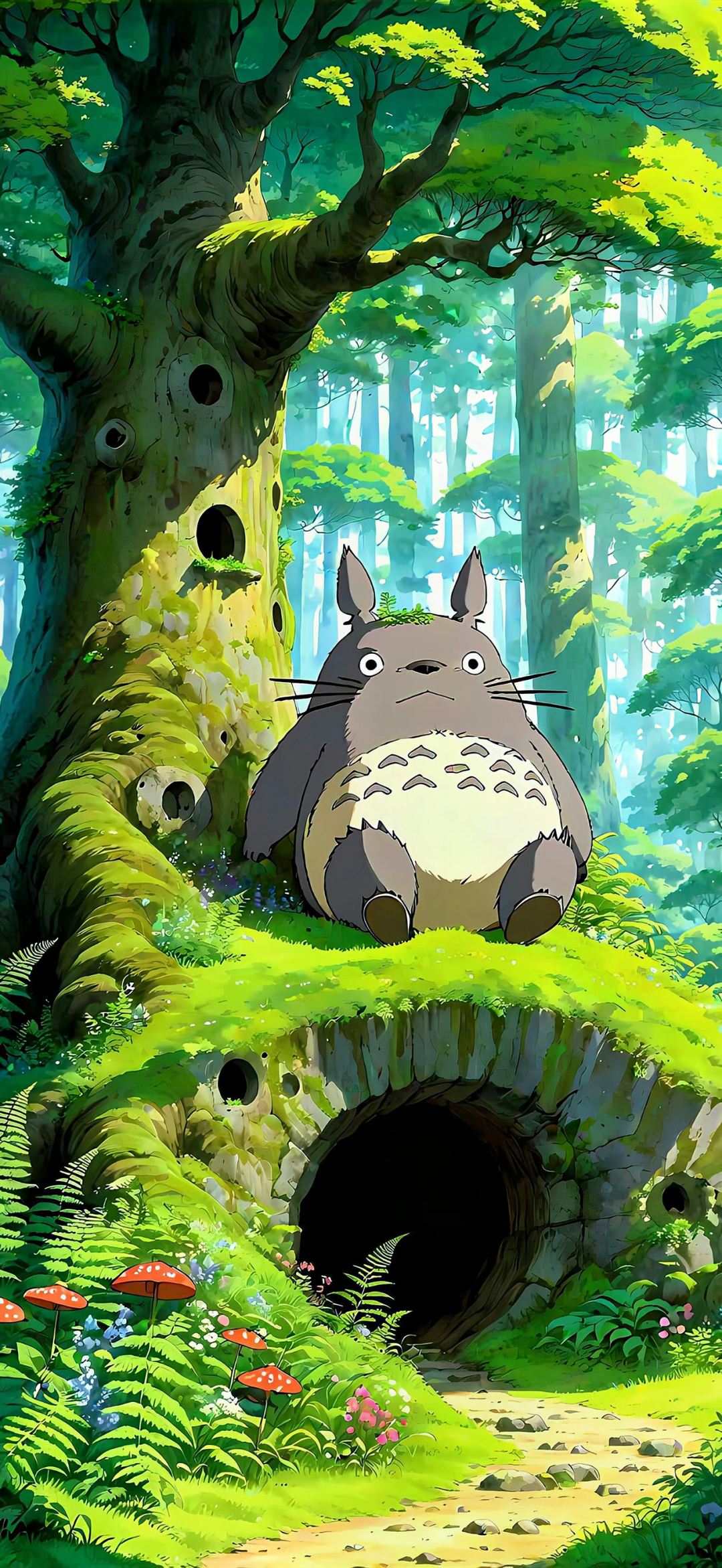 动漫