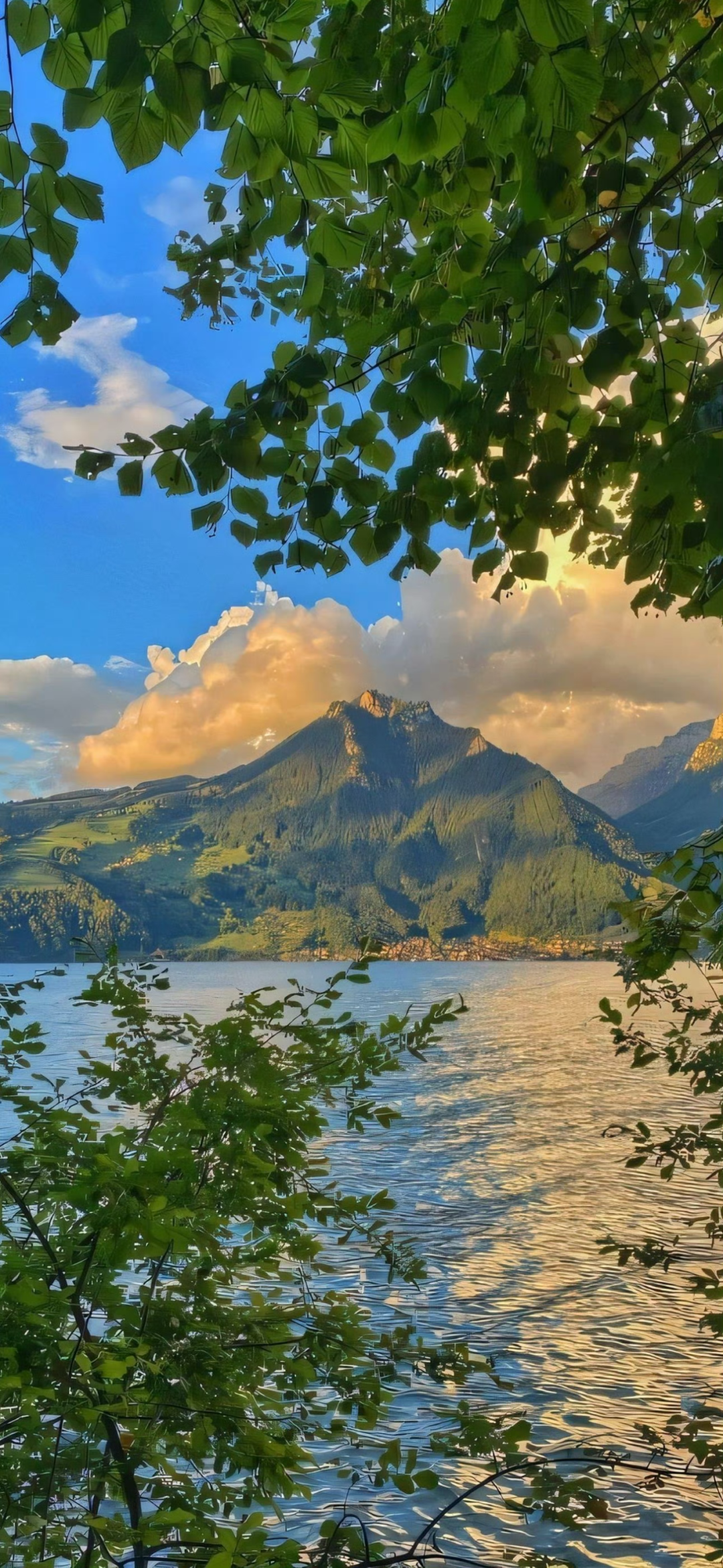 风景