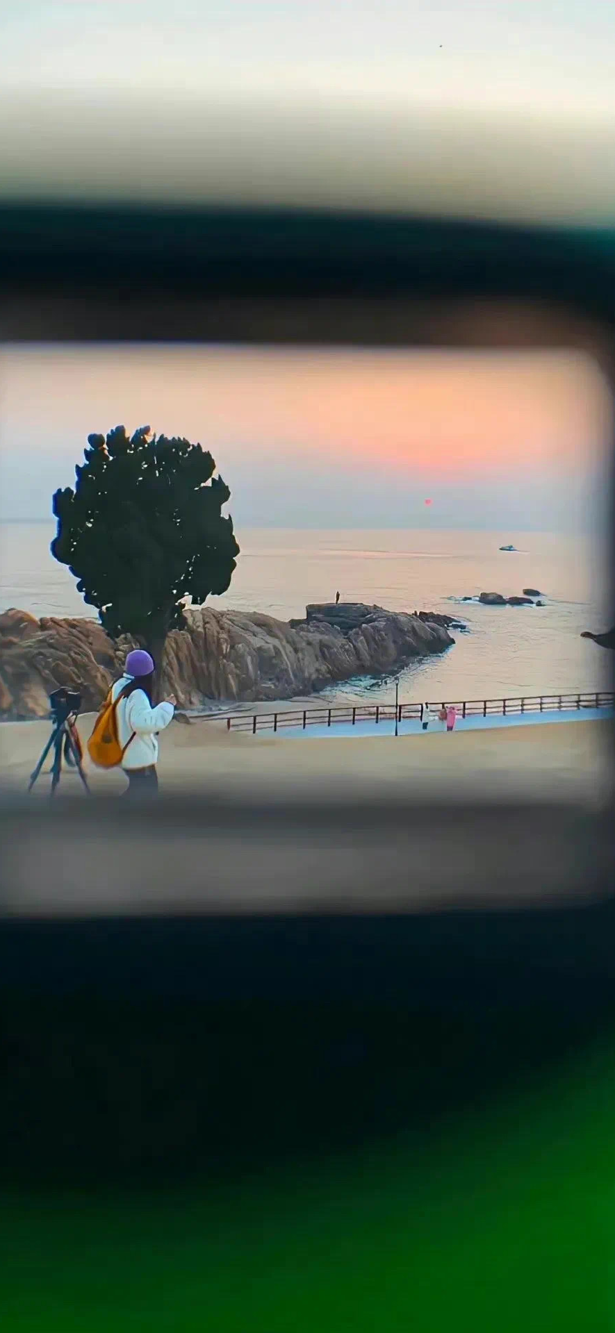 风景