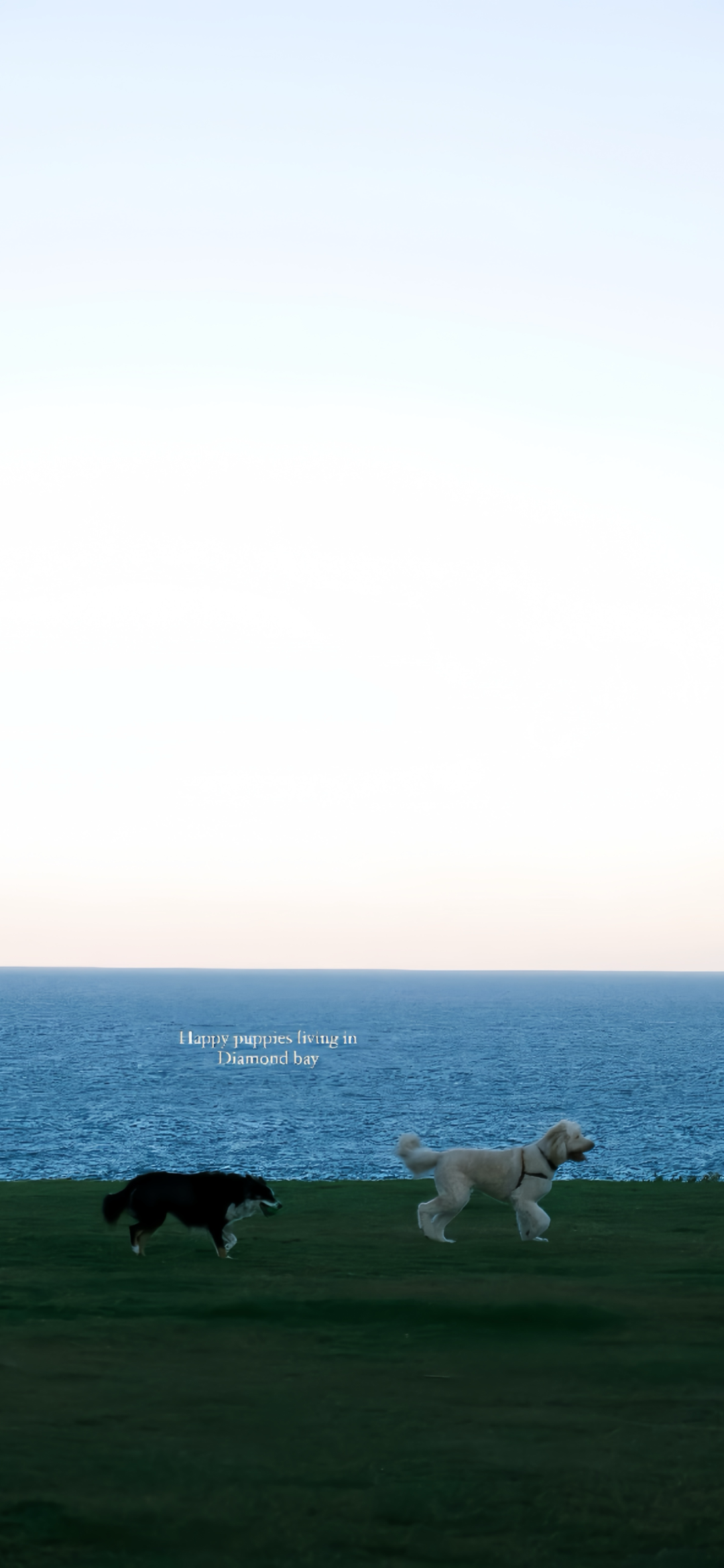 风景