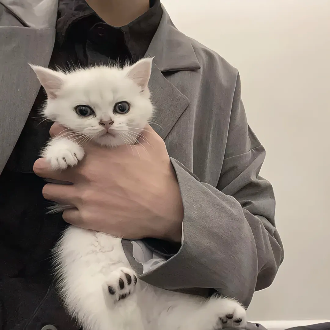 抱着猫咪小众不露脸男生头像