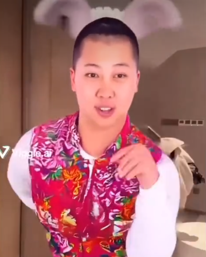 暴雷许久的东北雨姐，正在进化为“电子魅魔”？