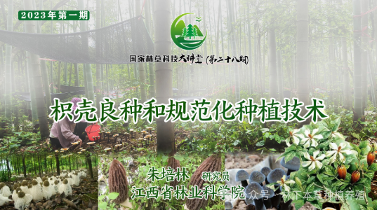 枳壳良种繁育与规范化生产技术